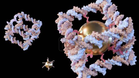 representación 3d de nanopartículas de oro conjugadas dentro de la construcción a partir del ADN de un complejo molecular similar a un cubo covalentemente cerrado 