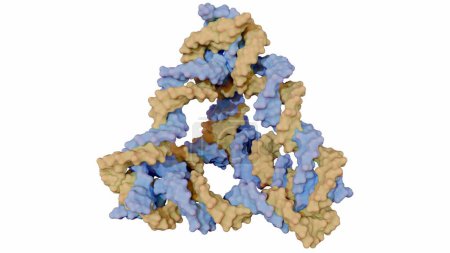Das 3D-Rendering von DNA-Tetraedern ist mechanisch robust; es besteht aus starren Dreiecken von DNA-Helices, die an den Eckpunkten kovalent verbunden sind