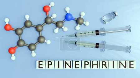 3d rendering of epinephrine or adrenaline molecule and epinephrine on the word blocks