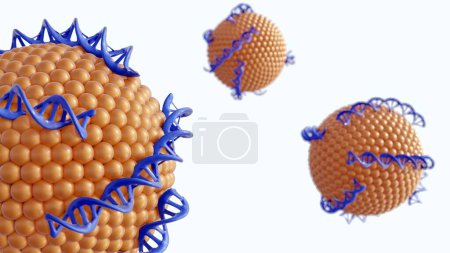 3D representación de helixes de ADN liposomas conjugados como complejo ADN-liposoma