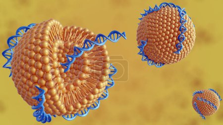 3D-Darstellung von DNA-Helixen konjugierten Liposomen als DNA-Liposom-Komplex