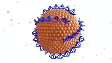 3d rendering of DNA helixes conjugated liposomes as DNA-Liposome complex