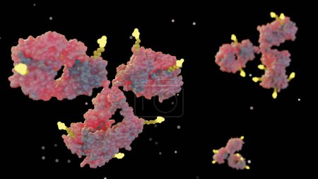 3d rendering of Antibody drug conjugates (ADCs) are targeted medicines that deliver chemotherapy agents to cancer cells