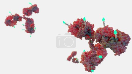 Photo for 3d rendering of Antibody drug conjugates (ADCs) are targeted medicines that deliver chemotherapy agents to cancer cells - Royalty Free Image