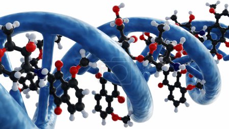 3D-Animation von Doxorubicin-Molekülen schaltet DNA durch die Bildung von Wasserstoffverbindungen mit Guaninen in benachbarten GC-Basenpaaren ein