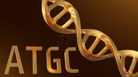 3D-Rendering von Gold ATGC Buchstaben Hintergrund. Adenin, Thymin, Cytosin und Guanin sind die vier Nukleotide in der DNA