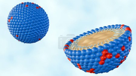 Die Nanoemulsionen (NE) sind winzige Moleküle, die die Wirkstoffkomponenten in ihrem Kern tragen. Die Struktur besteht aus organischem Tensid, Öl oder Wirkstoff und Co-Emulgator