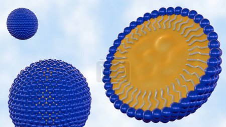 3d rendering of The nanoemulsions (NE) are tiny molecules that carry the drug components in its core. The structure is organic surfactant, oil or active ingredient and co-emulsifier