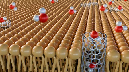 Rendu 3d des molécules passant à travers les porines des nanotubes de carbone sur la membrane bicouche lipidique