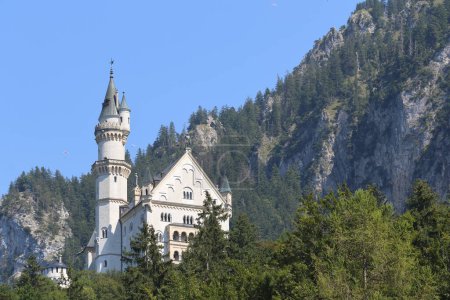Téléchargez les photos : Château Neuschwanstein en Bavière en Allemagne - en image libre de droit