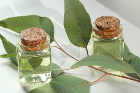 Téléchargez les photos : Huile d'eucalyptus en bouteille de verre - en image libre de droit