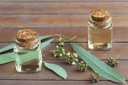Téléchargez les photos : Huile d'eucalyptus en bouteille de verre - en image libre de droit