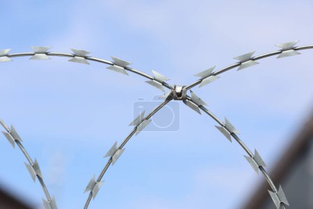 Photo for Closeup of stainless steel razor wire - Royalty Free Image
