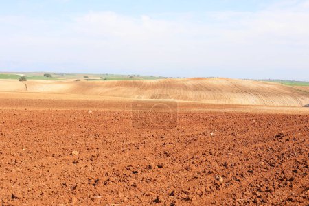 Agricultural field ploughed in spring. Arable land ready for the next cultivation season