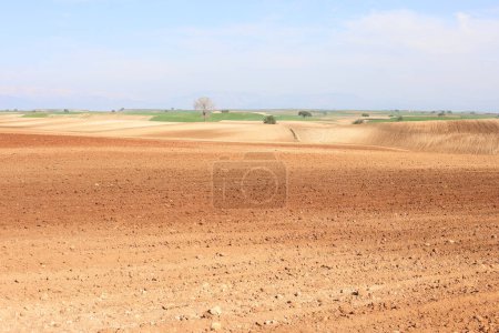 Campo agrícola arado en primavera. Tierras cultivables listas para la próxima temporada de cultivo
