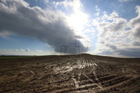 a plowed field after rain