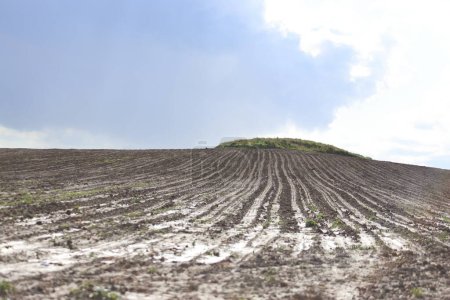 un campo arado después de la lluvia