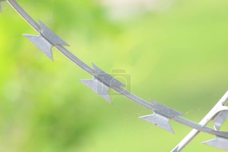 Photo for Closeup of stainless steel razor wire fence - Royalty Free Image