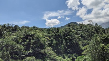 Foto de Vista del río Kalikuning lleno de árboles y arbustos. El río Kalikuning es una de las rutas de nubes calientes y lava fría cuando entra en erupción el monte Merapi.. - Imagen libre de derechos