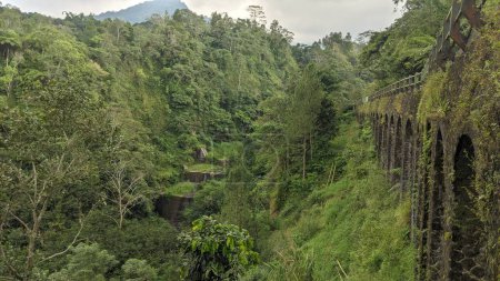 Die Plunyon-Brücke über den Kalikuning-Fluss mit schöner und atemberaubender Aussicht liegt an den Südhängen des Merapi.