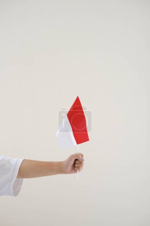 Photo for Portrait or vertical shot of a hand of man wearing white T-Shirt is holding Bendera Indonesia or Indonesian flag confidently. Isolated white background. - Royalty Free Image