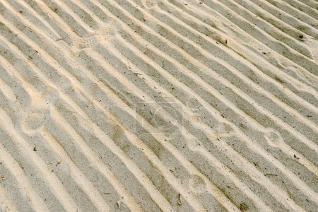 Sand with natural diagonal wavy ridges pattern. Suitable for background.