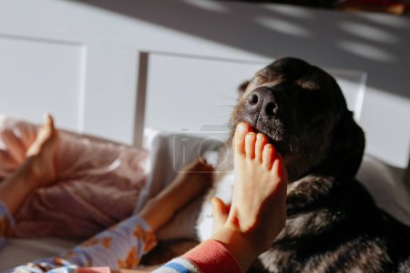Photo for Dog licking barefoot of the small child in the bed in morning light - Royalty Free Image