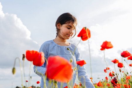low angle view of child standing in the field of poppies on a sunny day exploring the plants