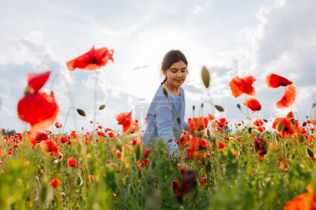 low angle view of child standing in the field and watching the poppies on a sunny day exploring the plants