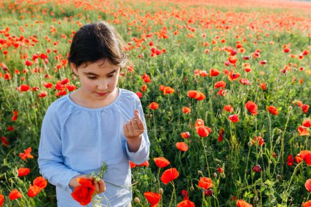 high angle view of child standing in the field of poppies exploring the plants and tasting fresh peas