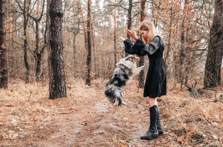 A teenage girl trains a Scottish Shepherd. The dog jumps up to the girl's hand. Friendship between children and animals. Taking care of the dog.