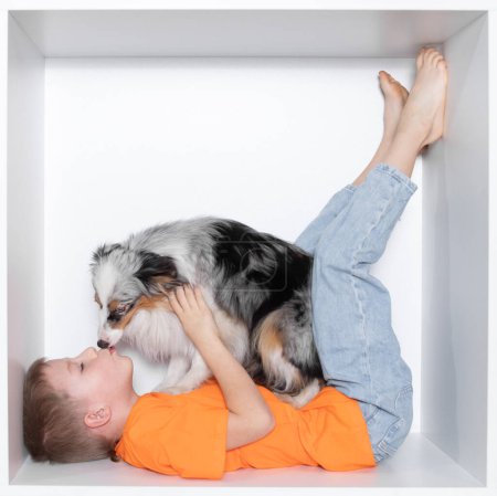 Boy with a Scottish Sheepdog on a white background. A schoolboy sits in white interior furniture with a beautiful blue-eyed collie dog.
