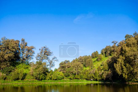 Téléchargez les photos : La beauté de Ranu Pani, le lac au pied du mont Semeru, est le point de départ pour l'escalade du mont Semeru dans la régence de Lumajang, en Indonésie. Une partie du parc national Bromo Tengger Semeru. - en image libre de droit