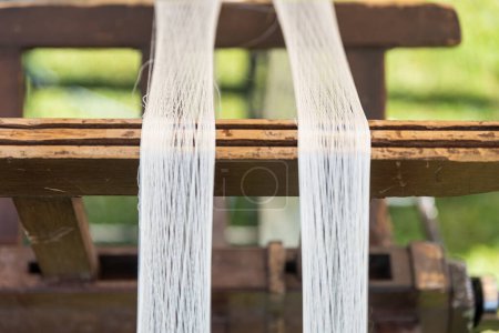 Téléchargez les photos : Ocoons de vers à soie blancs élevés pour produire de la soie. soie brute, photo de haute qualité. Photo de haute qualité - en image libre de droit