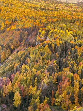 Téléchargez les photos : Paysage d'automne dans le parc national d'Uludag, Turquie Paysage d'automne par une journée ensoleillée. Photo de haute qualité - en image libre de droit
