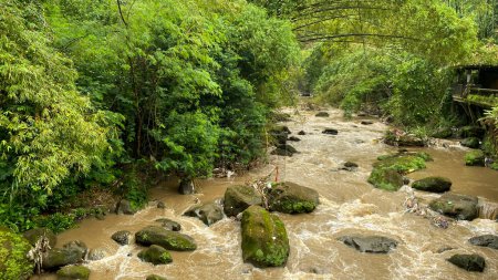 Téléchargez les photos : Beau paysage avec rivière et forêt - en image libre de droit