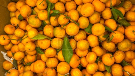 Téléchargez les photos : Oranges mûres fraîches dans un marché - en image libre de droit