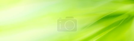 Photo for Gorgeous Nature Abstract background nature of green leaf on blurred greenery background in garden. Natural green leaves plants used as spring background cover page greenery environment ecology lime green wallpaper - Royalty Free Image
