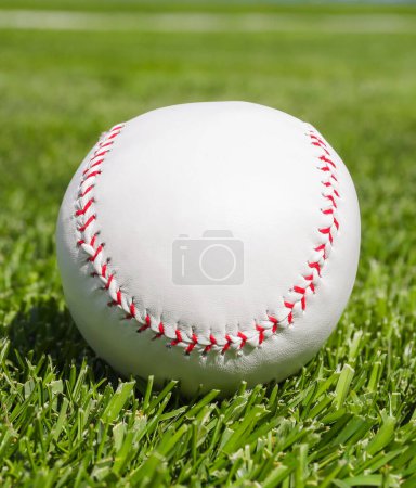 Game ball for playing baseball on green grass