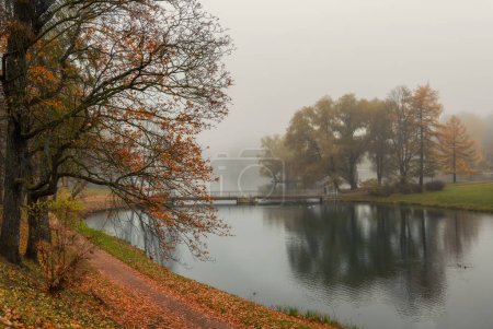 Foto de Foco suave. Niebla melancólica parque de otoño de la ciudad. Puente sobre un estanque que borra una mañana brumosa. Gatchina, Palace Park, Rusia. - Imagen libre de derechos