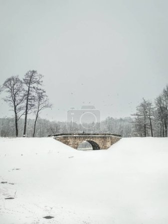 Téléchargez les photos : Journée d'hiver dans le parc de la ville. Promenade dans la tempête de neige. Pont de pierre Karpin dans le parc. Visitez la réserve de musée Gatchina Palace. Vue verticale. - en image libre de droit