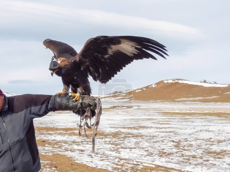 Portrait of a hunting golden eagle on the background winter mountains. Eagle st of the hand. Eagles eagle hunters are individuals who train and hunt with golden eagles in Mongolia. Copy space. 