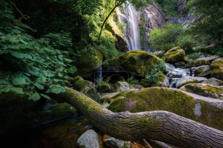 Ein umgestürzter Stamm im Lauf des Baches, der den Toxa-Wasserfall in Pontevedra Galicia bildet