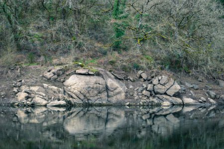 Granite rocks and bare oak trees reflected in the river in winter near Portomarin Lugo Galicia