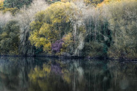 Farbenfroher Herbstwald am Flussufer, der sich im ruhigen Wasser des Flusses in der Nähe von Lugo Galicien spiegelt