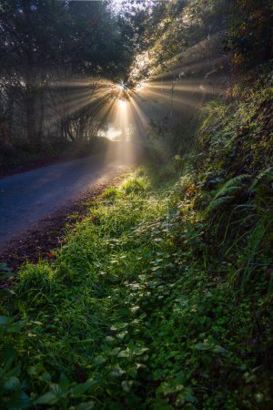 Sun rays break the fog on a mountain road in Courel Mountains Unesco Geopark in Lugo Galicia
