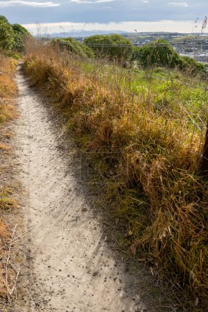 Straight dirt track as part of the walking and biking tracks around Cape Wanbrow in Oamaru, South Island New Zealand.