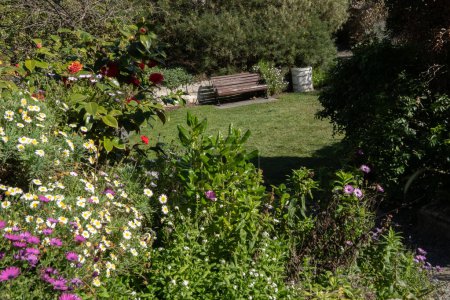 Holzsitz in abgeschiedenen Hüttengarten Lichtung. Leere Holzbank im öffentlichen Garten in Oamaru, Neuseeland. Die Blumen blühen und der Garten ist leer.