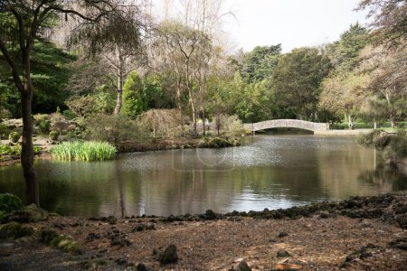 View of pond and bridge at Queens Park, Invercargill. A large urban green space in NZ Southland city.