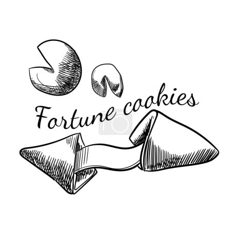 Illustration for Chinese fortune cookies set. Hand-drawn black and white vector illustration isolated, vector icon with chinese food. - Royalty Free Image